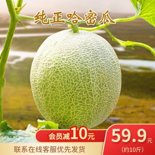 Fresh Hami Melon